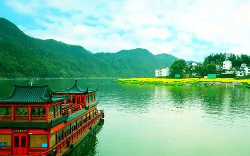 全自动节能高端